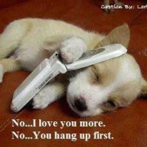 Meet your Posher, Kelly